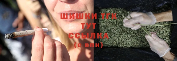 МДПВ Дмитров