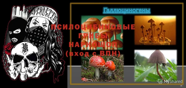 МДПВ Дмитров