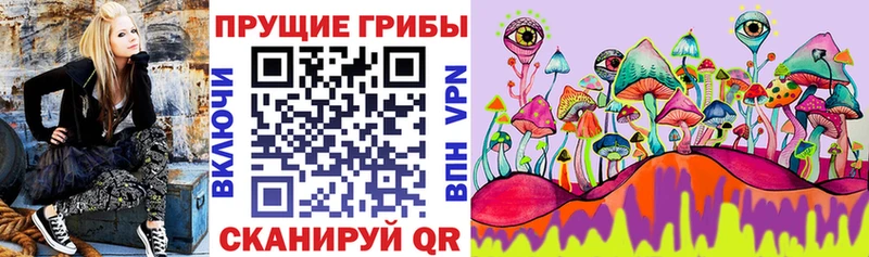 Псилоцибиновые грибы прущие грибы  Купить где  Староминская 